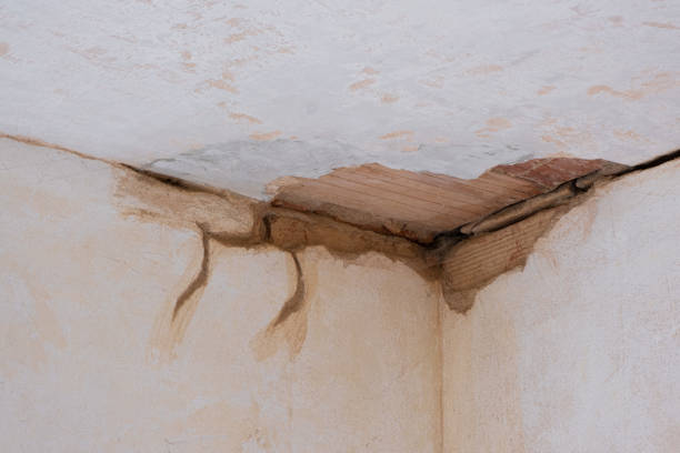 Best Local water damage restoration  in Margaret, AL