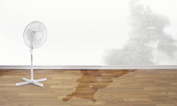 Professional Water damage restoration in Margaret, AL