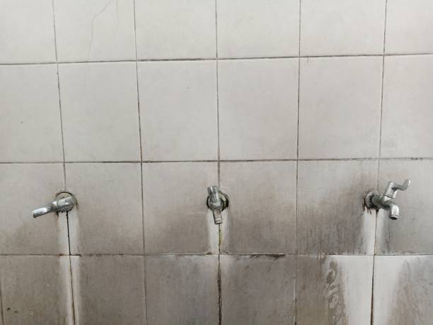 Best Ceiling water damage repair  in Margaret, AL