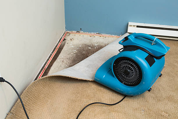 Best 24/7 water damage repair  in Margaret, AL